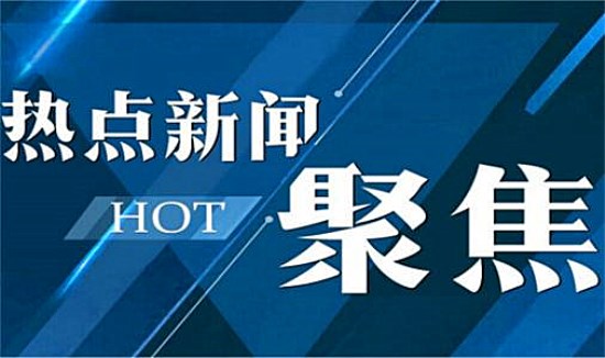 警惕虚假宣传，2025新澳精准正版免费资料与全面释义、解释与落实