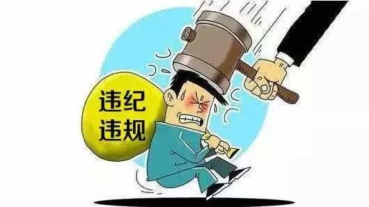 新澳2025精准正版資料，全面释义、解释与落实—警惕虚假宣传
