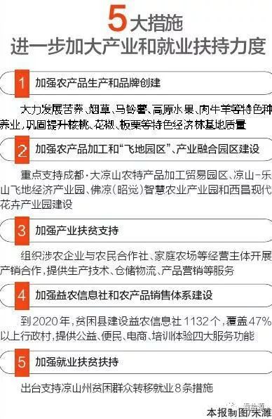 2025精准免费资料大全，全面释义、解释与落实策略