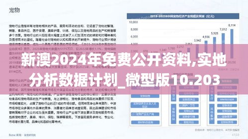 2025新澳正版今晚资料，警惕虚假宣传，全面释义、解释与落实
